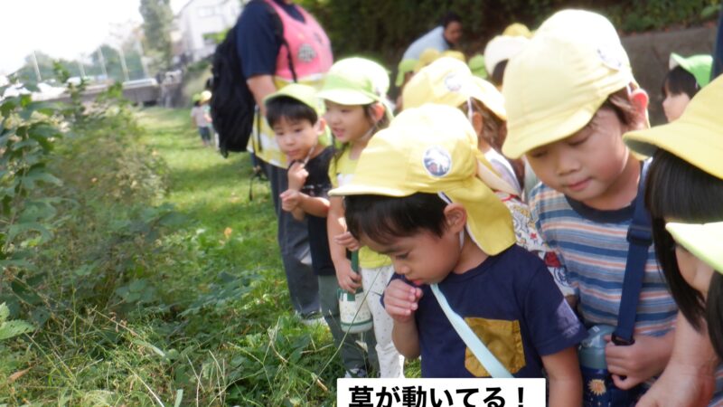 今日の幼児組